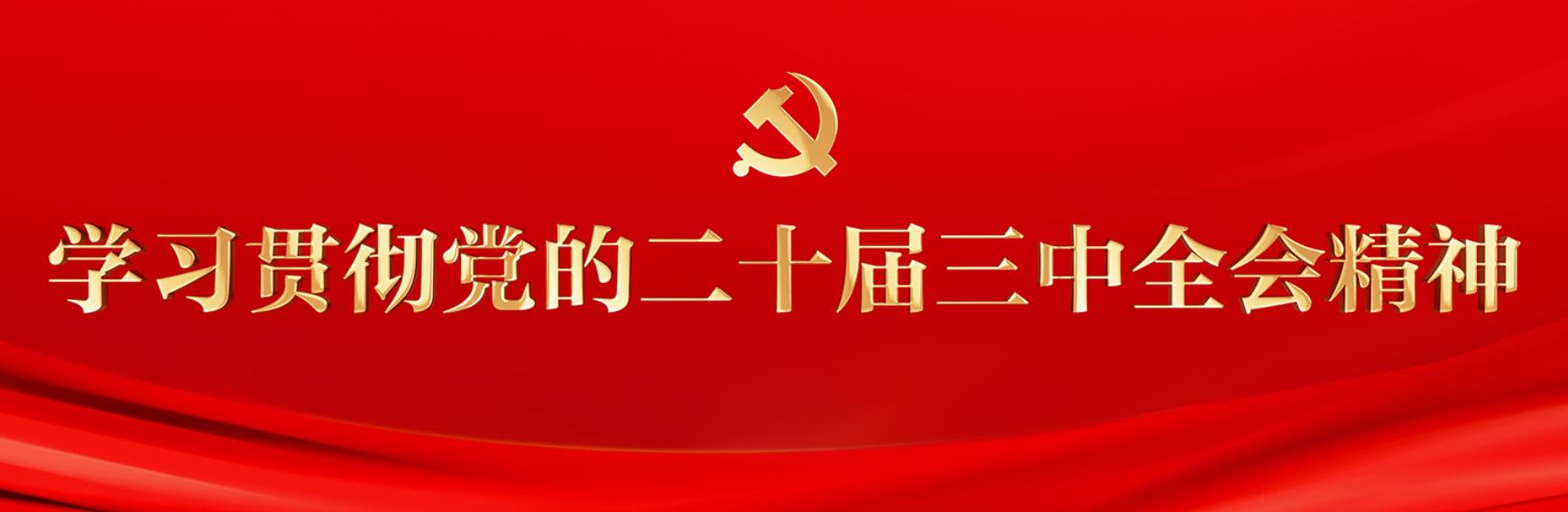 學習貫徹黨的二十屆三中全會精神